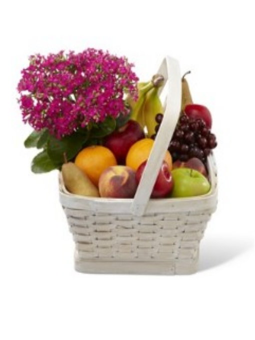 GARDEN PARADISE BASKET